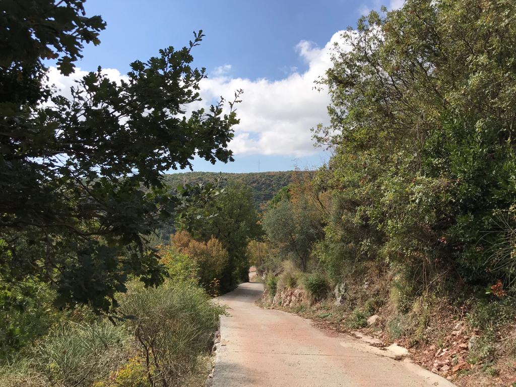 Image of Plot for Sale in Budva-Markovici-Montenegro, Image 8